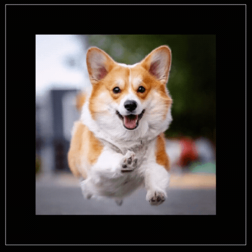 2D image file demo